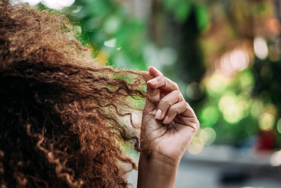 Cheveux secs ? Nos astuces pour une hydratation maximale 💧